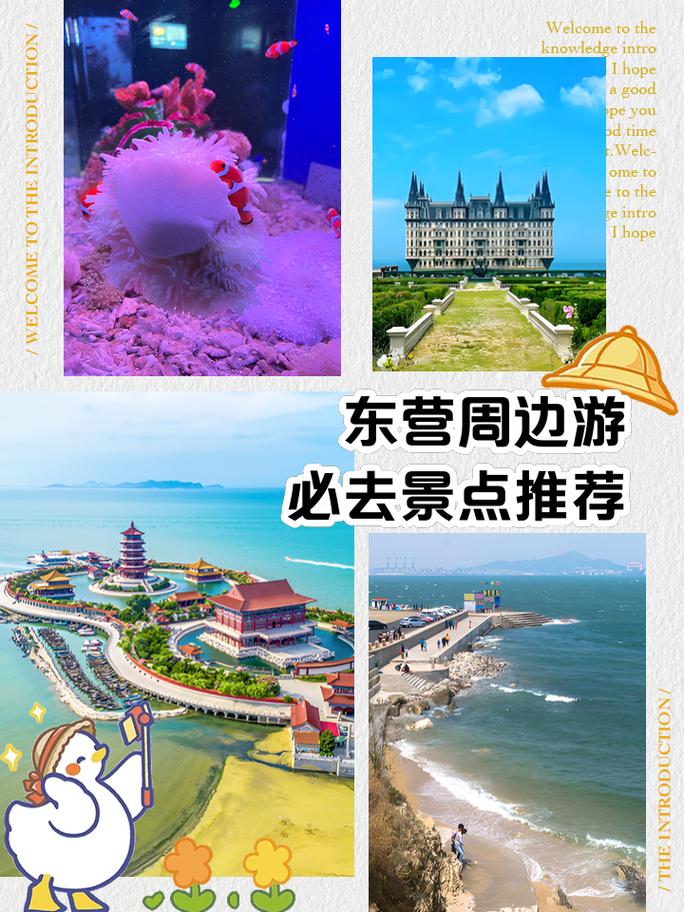 东营旅游景点有哪些地方好玩,东营旅游必去景点-第4张图片 东营旅游景点有哪些地方好玩,东营旅游必去景点-第4张图片