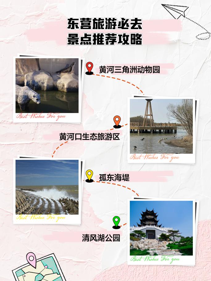 东营旅游景点有哪些地方好玩,东营旅游必去景点-第5张图片 东营旅游景点有哪些地方好玩,东营旅游必去景点-第5张图片