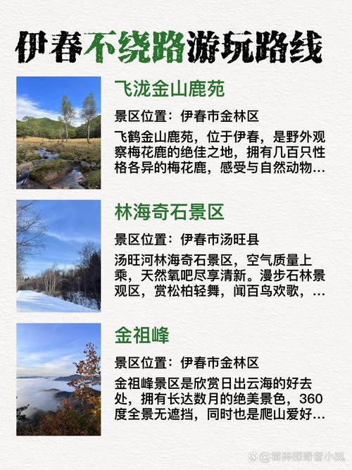 伊春旅游规划(伊春旅游拓展)-第4张图片 伊春旅游规划(伊春旅游拓展)-第4张图片