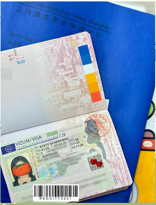 捷克旅游签证好办吗现在(捷克旅游签证好办吗现在多少钱)-第4张图片 捷克旅游签证好办吗现在(捷克旅游签证好办吗现在多少钱)-第4张图片
