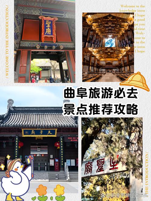 山东曲阜旅游攻略景点必去 - 曲阜三孔60岁老人门票-第3张图片 山东曲阜旅游攻略景点必去 - 曲阜三孔60岁老人门票-第3张图片