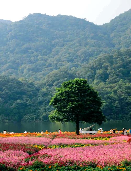 从化旅游景区有哪些,从化旅游区景点-第5张图片 从化旅游景区有哪些,从化旅游区景点-第5张图片