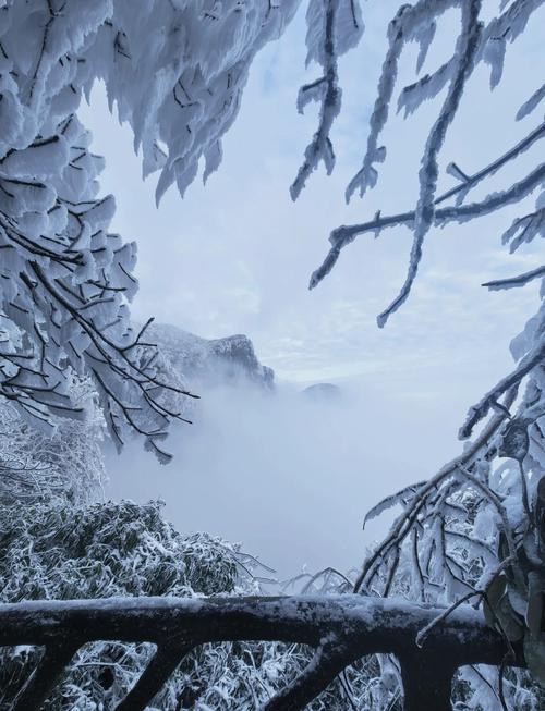 金佛山自驾二日游攻略(金佛山2日游旅游攻略)-第2张图片 金佛山自驾二日游攻略(金佛山2日游旅游攻略)-第2张图片