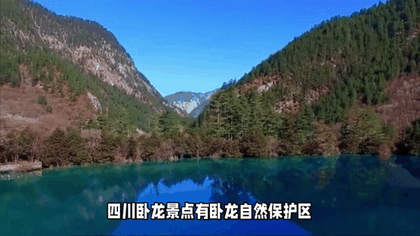 四川卧龙门票多少钱一张 - 四川 卧龙-第2张图片 四川卧龙门票多少钱一张 - 四川 卧龙-第2张图片