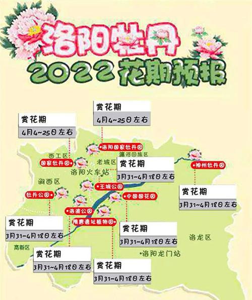 洛阳牡丹旅游线路,洛阳牡丹一日游攻略-第1张图片 洛阳牡丹旅游线路,洛阳牡丹一日游攻略-第1张图片