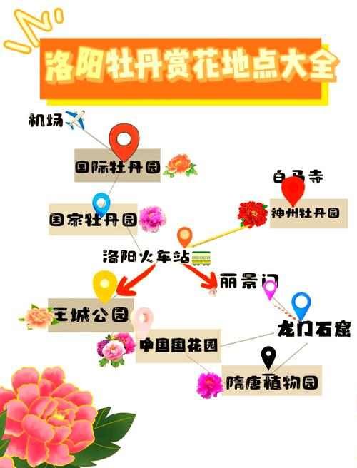 洛阳牡丹旅游线路,洛阳牡丹一日游攻略-第5张图片 洛阳牡丹旅游线路,洛阳牡丹一日游攻略-第5张图片