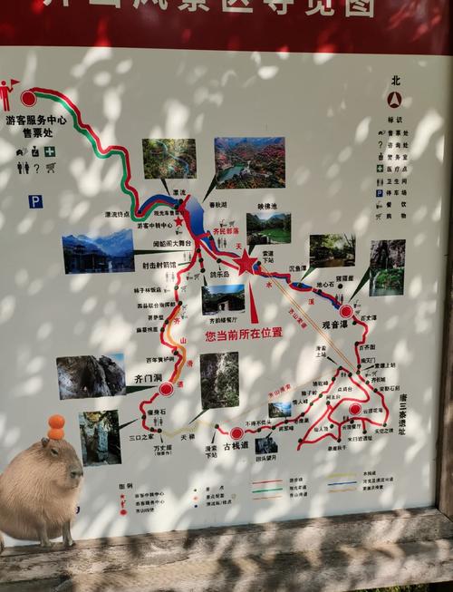 齐山风景区介绍资料 - 齐山风景区好玩吗-第4张图片 齐山风景区介绍资料 - 齐山风景区好玩吗-第4张图片