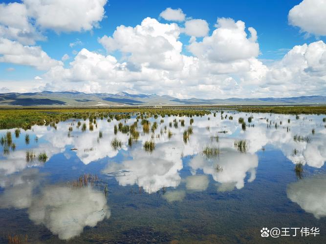 花湖旅游景点介绍词怎么写 - 花湖作文-第4张图片 花湖旅游景点介绍词怎么写 - 花湖作文-第4张图片