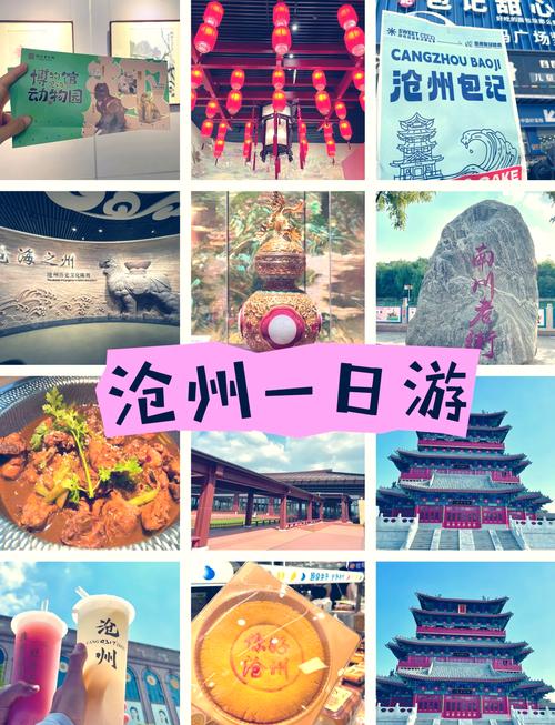 沧州旅游地方(沧州的旅游)-第5张图片 沧州旅游地方(沧州的旅游)-第5张图片