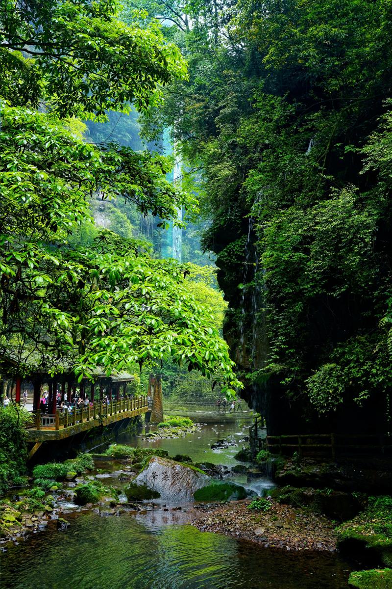 碧峰峡景区导游讲解,碧峰峡景区导游讲解视频-第3张图片 碧峰峡景区导游讲解,碧峰峡景区导游讲解视频-第3张图片