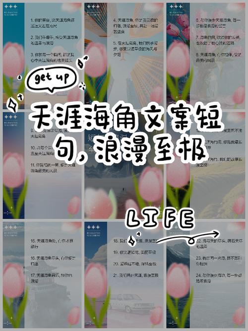 天涯海角景点经典句子(天涯海角的景区描述)-第2张图片 天涯海角景点经典句子(天涯海角的景区描述)-第2张图片