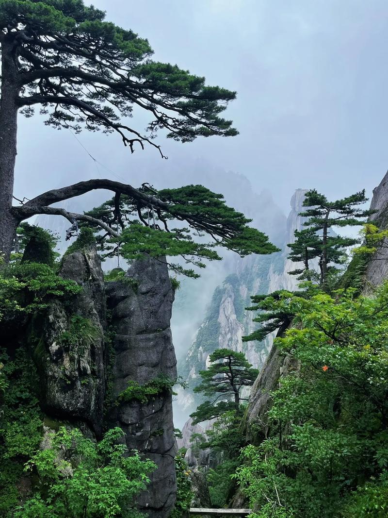 安徽黄山旅游攻略必去景点 - 安徽黄山旅游攻略必去景点推荐-第2张图片 安徽黄山旅游攻略必去景点 - 安徽黄山旅游攻略必去景点推荐-第2张图片