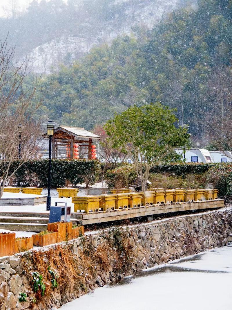 宁波冬季旅游去哪些地方,宁波冬天哪里好玩的景点推荐-第1张图片 宁波冬季旅游去哪些地方,宁波冬天哪里好玩的景点推荐-第1张图片