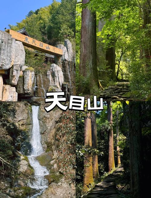 天目山旅游景点攻略一日游多少钱人民币 - 天目山门票多少-第2张图片 天目山旅游景点攻略一日游多少钱人民币 - 天目山门票多少-第2张图片