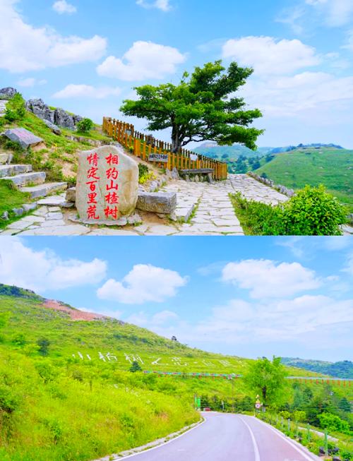 宜昌旅游景点有哪些好玩的地方百里荒 - 去宜昌百里荒自驾游路线好走吗-第3张图片 宜昌旅游景点有哪些好玩的地方百里荒 - 去宜昌百里荒自驾游路线好走吗-第3张图片