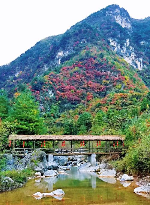 陇南前十旅游景点大全,陇南前十旅游景点大全图片-第3张图片 陇南前十旅游景点大全,陇南前十旅游景点大全图片-第3张图片