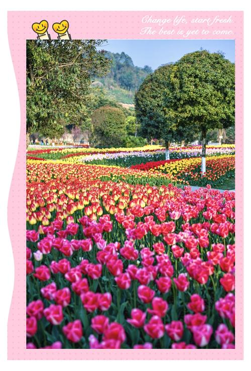 冰岛旅游是时候走一波了(冰岛旅游定制路线)-第2张图片 冰岛旅游是时候走一波了(冰岛旅游定制路线)-第2张图片