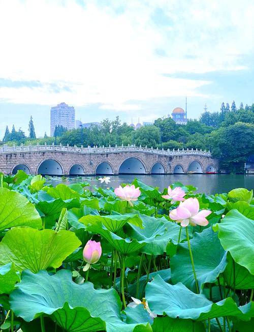 南通旅游景点大全介绍,南通旅游景点大全介绍一日游-第2张图片 南通旅游景点大全介绍,南通旅游景点大全介绍一日游-第2张图片