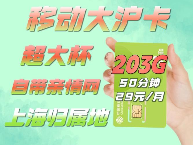 在上海用什么手机卡比较划算(在上海用什么电话卡信号要好)-第4张图片 在上海用什么手机卡比较划算(在上海用什么电话卡信号要好)-第4张图片