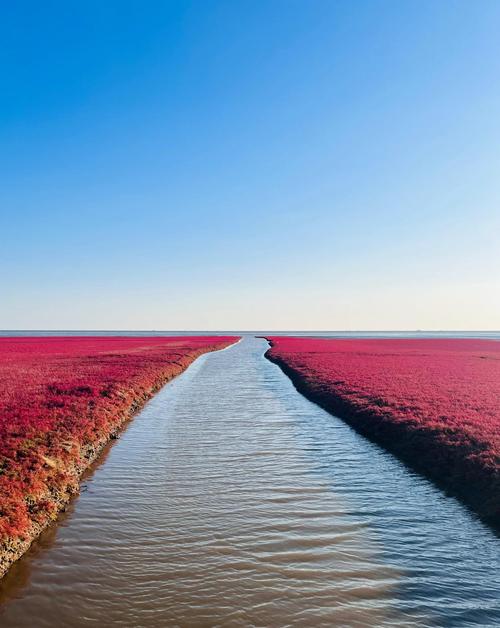 盘锦旅游景点攻略,盘锦旅游景点攻略图-第2张图片 盘锦旅游景点攻略,盘锦旅游景点攻略图-第2张图片
