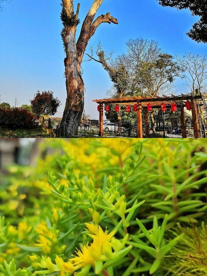 吉安旅游攻略(吉安旅游攻略必玩的景点)-第3张图片 吉安旅游攻略(吉安旅游攻略必玩的景点)-第3张图片