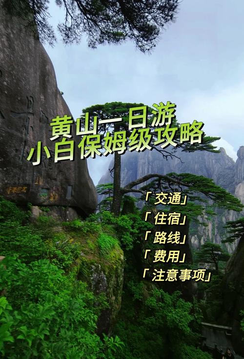 去黄山自驾游旅游攻略(去黄山自由行旅游攻略)-第4张图片 去黄山自驾游旅游攻略(去黄山自由行旅游攻略)-第4张图片