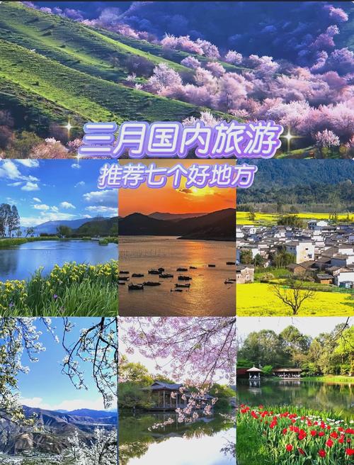 武隆旅游三次创业征文(参加武隆旅游产业实践报告)-第1张图片 武隆旅游三次创业征文(参加武隆旅游产业实践报告)-第1张图片
