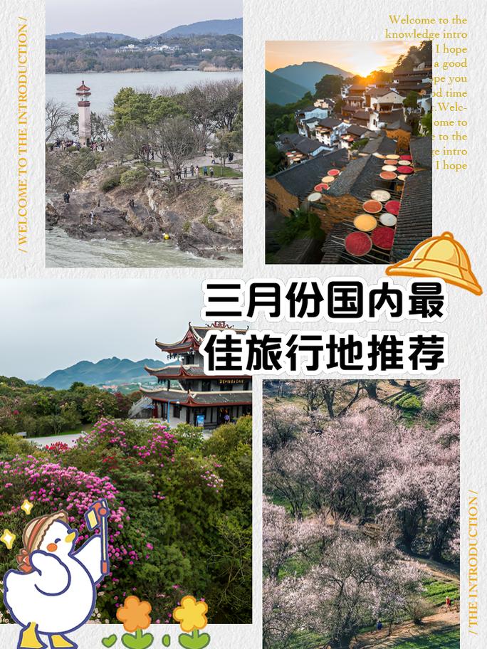 武隆旅游三次创业征文(参加武隆旅游产业实践报告)-第3张图片 武隆旅游三次创业征文(参加武隆旅游产业实践报告)-第3张图片