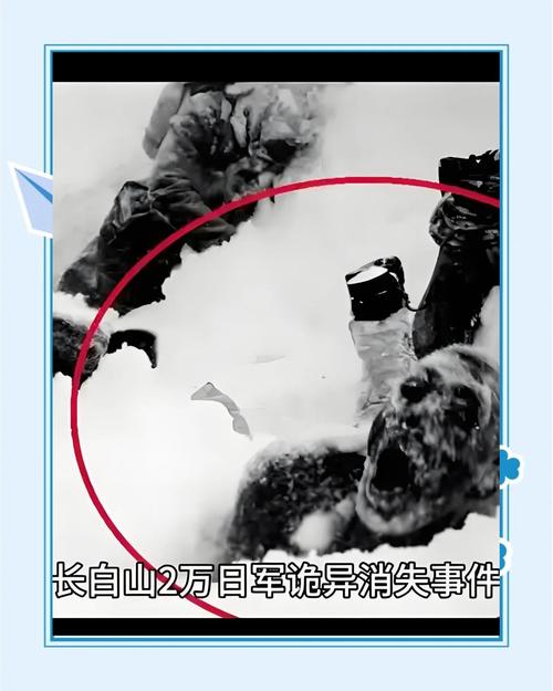 长白山旅游股价 - 长白山旅游股票代码-第1张图片 长白山旅游股价 - 长白山旅游股票代码-第1张图片