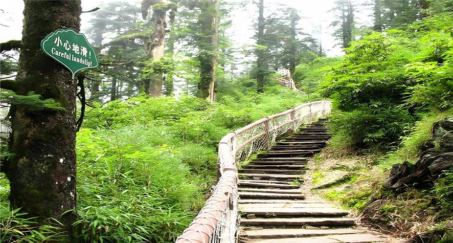 眉山瓦屋山国家森林公园旅游，四川眉山瓦屋山国家森林公园-第3张图片
