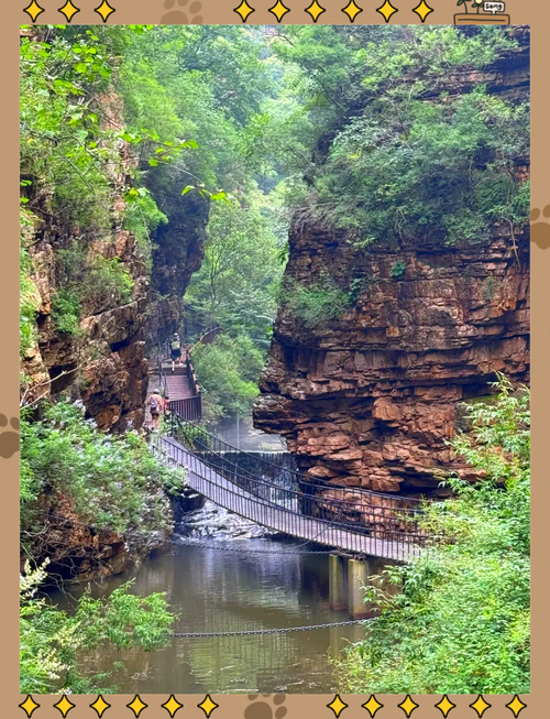 京东大峡谷值得去吗(京东大峡谷门票费用有优惠吗)-第1张图片 京东大峡谷值得去吗(京东大峡谷门票费用有优惠吗)-第1张图片