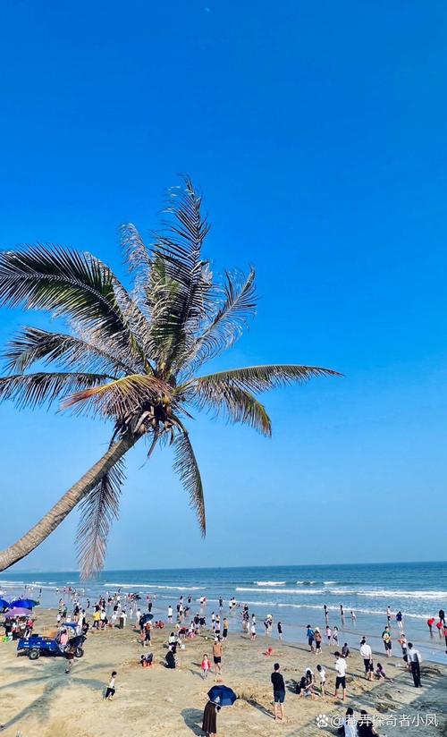 湛江主要旅游景点,湛江主要旅游景点排名-第6张图片 湛江主要旅游景点,湛江主要旅游景点排名-第6张图片