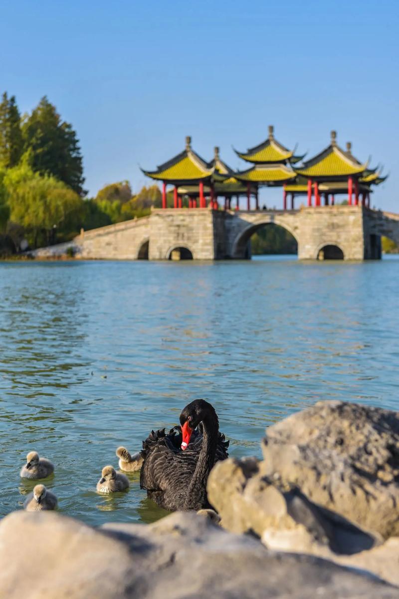 扬州旅游景点排名榜前十名，扬州旅游景点大全排名靠前-第1张图片