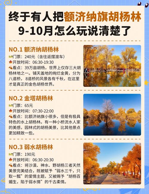额济纳旗旅游攻略百度旅游 - 内蒙额济纳旗旅游景点-第5张图片 额济纳旗旅游攻略百度旅游 - 内蒙额济纳旗旅游景点-第5张图片