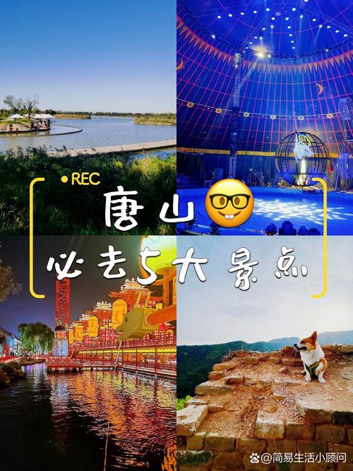 唐山五一适合去的旅游景点(唐山五一适合去的旅游景点有哪些)-第1张图片 唐山五一适合去的旅游景点(唐山五一适合去的旅游景点有哪些)-第1张图片