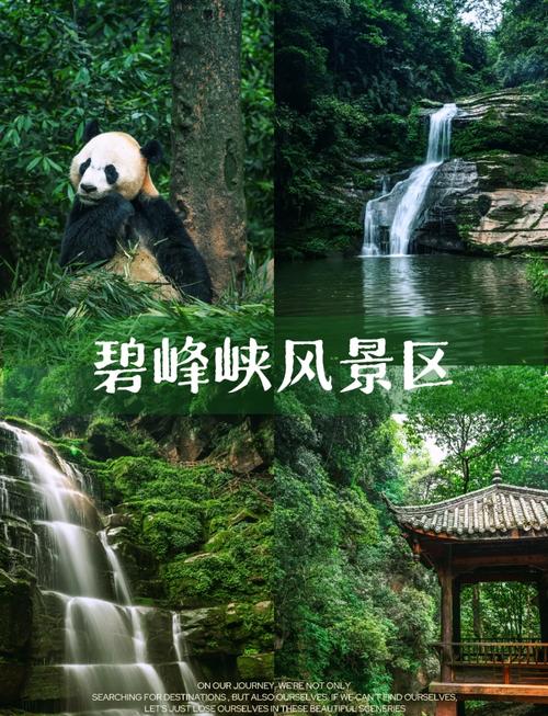 碧峰峡旅游景点门票,碧峰峡旅游景点门票费用-第1张图片 碧峰峡旅游景点门票,碧峰峡旅游景点门票费用-第1张图片