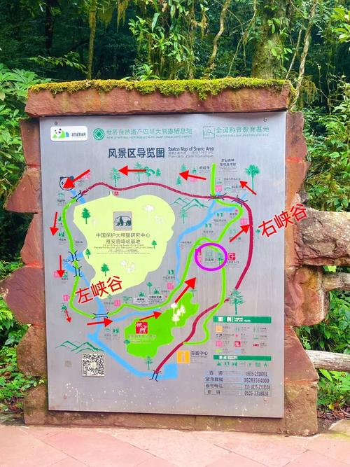 碧峰峡旅游景区内部优势,碧峰峡有哪些好玩的-第2张图片 碧峰峡旅游景区内部优势,碧峰峡有哪些好玩的-第2张图片