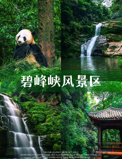 碧峰峡旅游景区内部优势,碧峰峡有哪些好玩的-第3张图片 碧峰峡旅游景区内部优势,碧峰峡有哪些好玩的-第3张图片