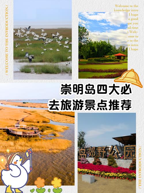 崇明岛旅游景点推荐(崇明岛旅游景点推荐理由)-第2张图片 崇明岛旅游景点推荐(崇明岛旅游景点推荐理由)-第2张图片
