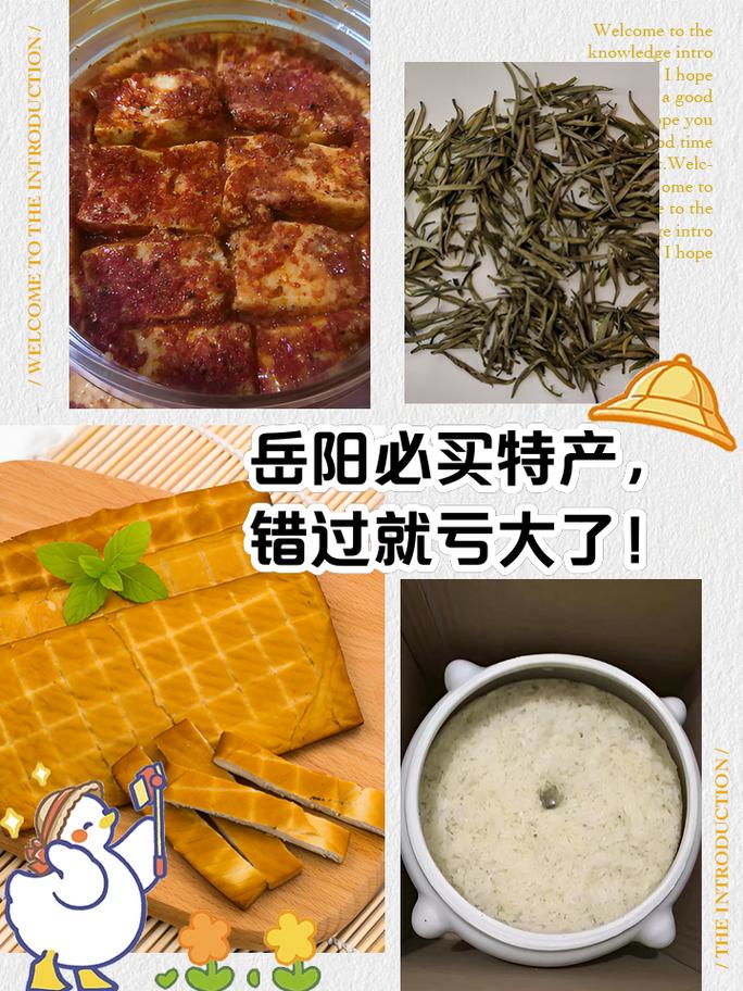 岳阳好吃的特产(岳阳特色食物)-第2张图片 岳阳好吃的特产(岳阳特色食物)-第2张图片