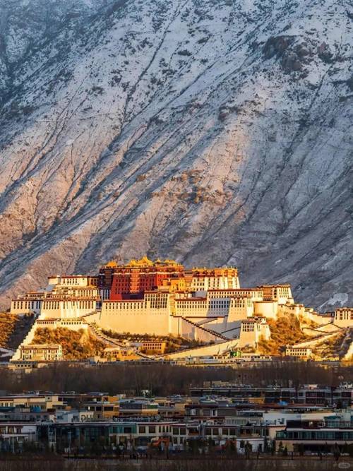 鼓浪屿有必要请导游吗现在,鼓浪屿景点导游证免票吗-第3张图片 鼓浪屿有必要请导游吗现在,鼓浪屿景点导游证免票吗-第3张图片