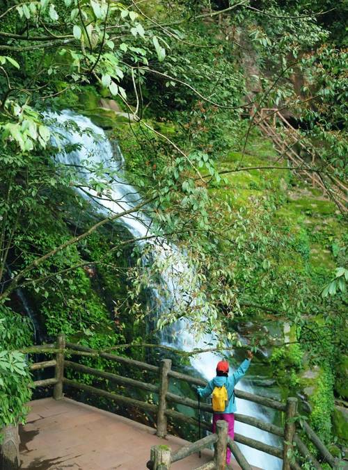 碧峰峡旅游攻略一日游线路,碧峰峡旅游攻略一日游线路怎么走-第1张图片 碧峰峡旅游攻略一日游线路,碧峰峡旅游攻略一日游线路怎么走-第1张图片