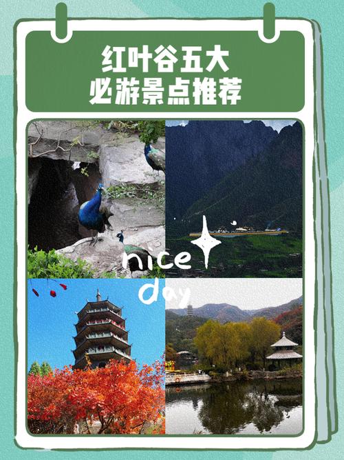 红叶谷风景区 - 青州红叶谷风景区-第1张图片 红叶谷风景区 - 青州红叶谷风景区-第1张图片