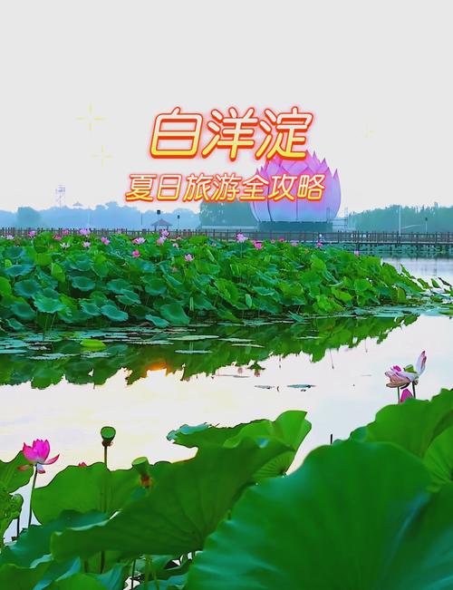 保定旅游景点一日游费用,保定旅游景点一日游费用查询-第2张图片 保定旅游景点一日游费用,保定旅游景点一日游费用查询-第2张图片