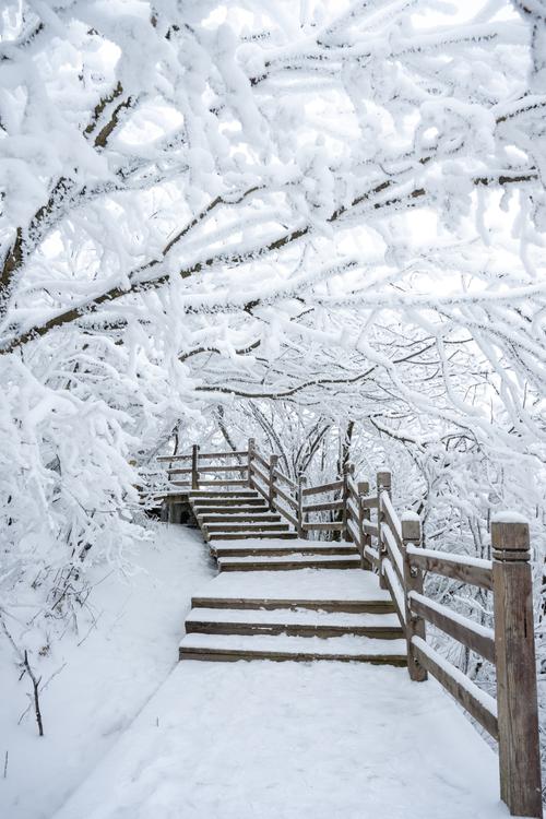 瓦屋山看雪最佳时间,瓦屋山看雪最佳时间是几点-第4张图片 瓦屋山看雪最佳时间,瓦屋山看雪最佳时间是几点-第4张图片