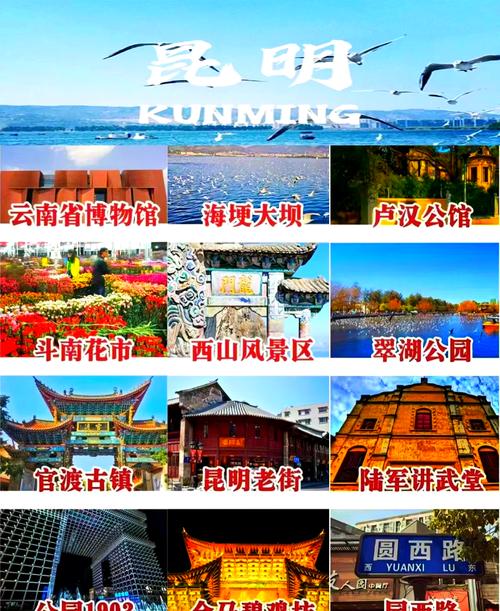 昆明旅游景点排名前十名有哪些,昆明10大旅游景点-第1张图片 昆明旅游景点排名前十名有哪些,昆明10大旅游景点-第1张图片