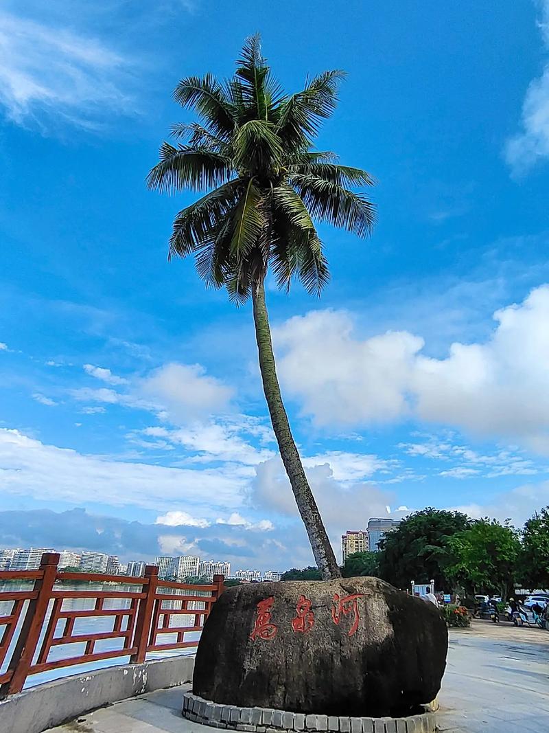 琼海旅游景点介绍 - 琼海游玩景点推荐-第4张图片 琼海旅游景点介绍 - 琼海游玩景点推荐-第4张图片