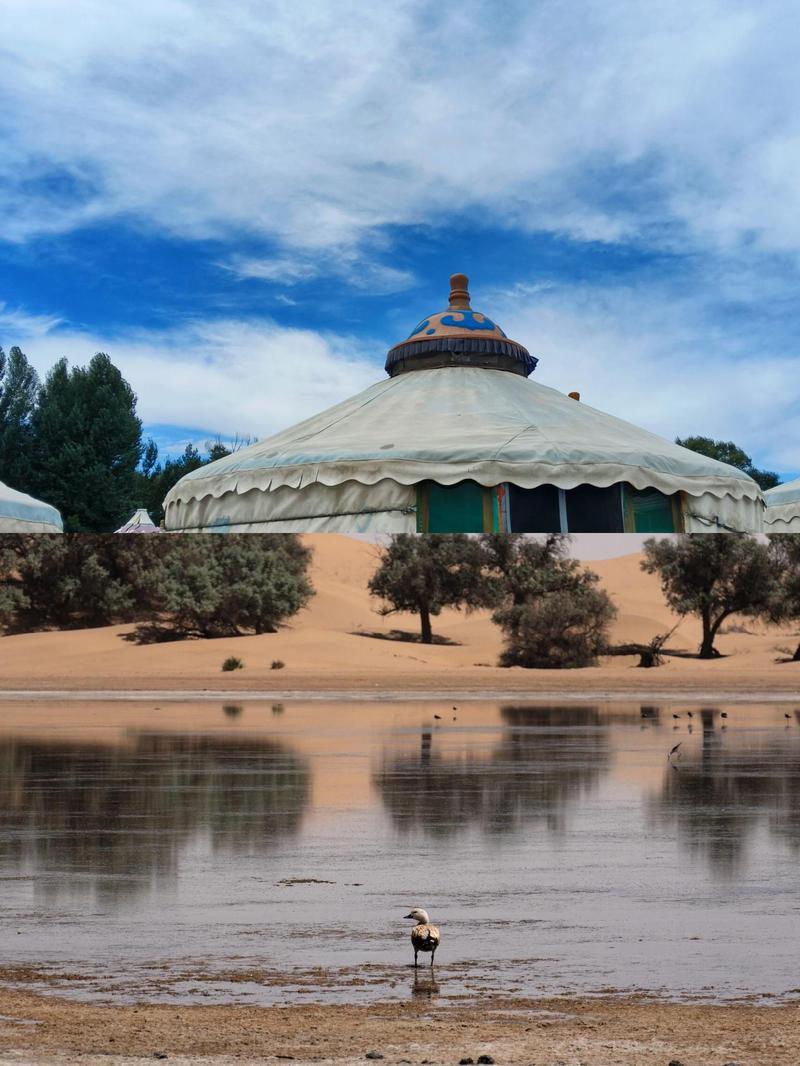 巴彦淖尔周边有什么好玩的地方(巴彦淖尔周边旅游景点大全 自驾车旅游)-第1张图片 巴彦淖尔周边有什么好玩的地方(巴彦淖尔周边旅游景点大全 自驾车旅游)-第1张图片