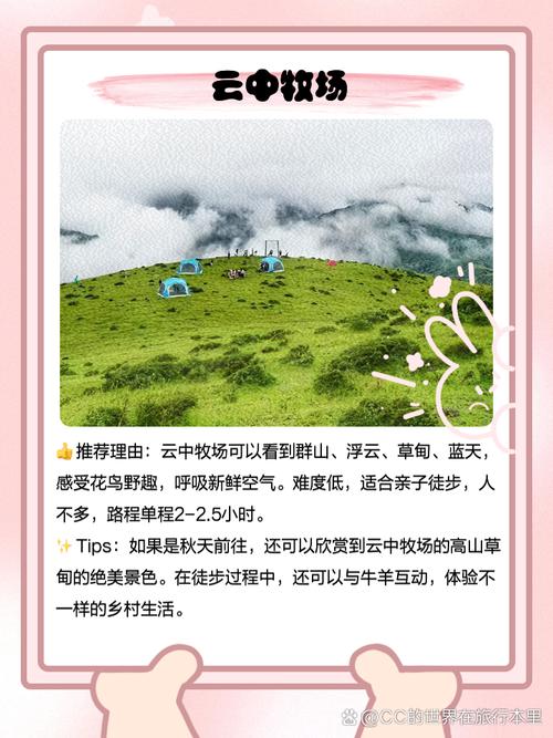 四川卧龙镇景点排名表,四川卧龙镇景点排名表格-第2张图片 四川卧龙镇景点排名表,四川卧龙镇景点排名表格-第2张图片
