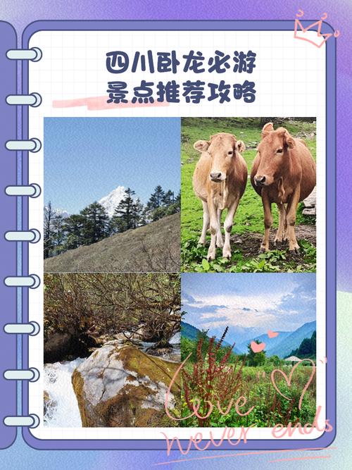 四川卧龙镇景点排名表,四川卧龙镇景点排名表格-第3张图片 四川卧龙镇景点排名表,四川卧龙镇景点排名表格-第3张图片